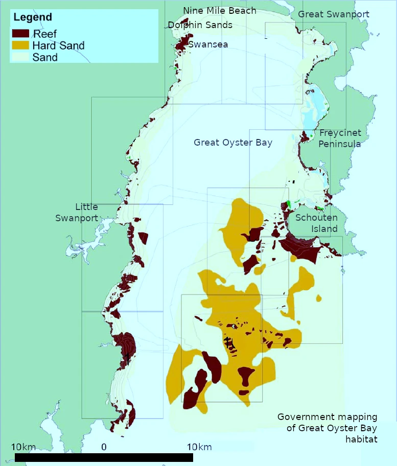 Great Oyster Bay marine habitat