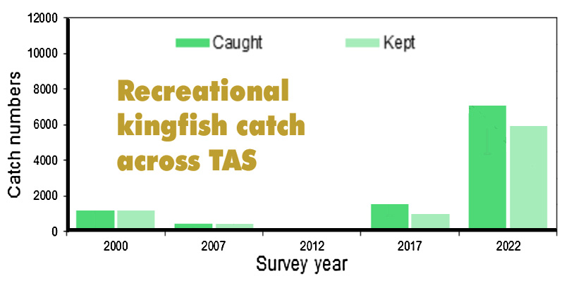 The recreational kingfish catch across Tasmania